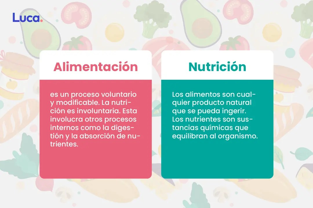 Alimentación y nutrición para la salud dental