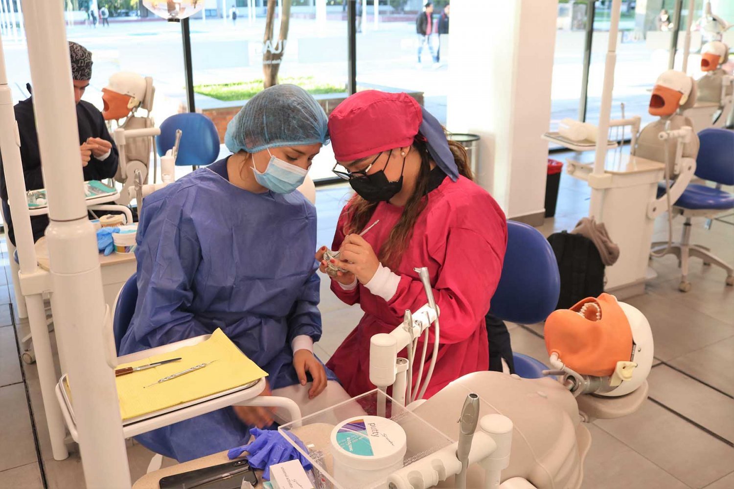 Citas de expertos en odontología