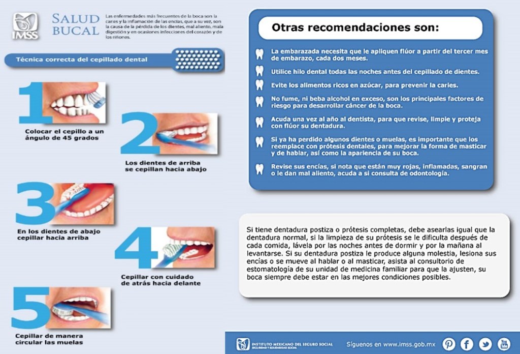 Guía Paso a Paso para un Cepillado Correcto