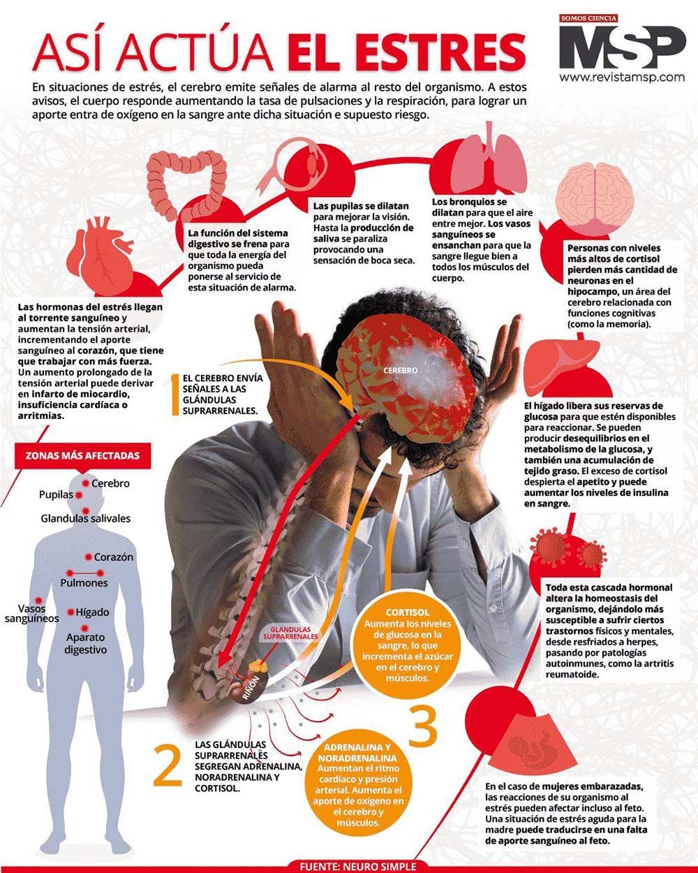 ¿Cómo afecta el estrés a tu salud bucal?