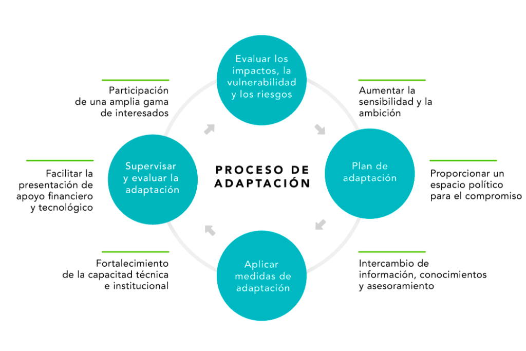 Comprendiendo los Desafíos y Adaptaciones