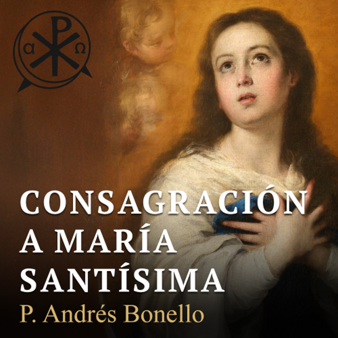 Conclusión