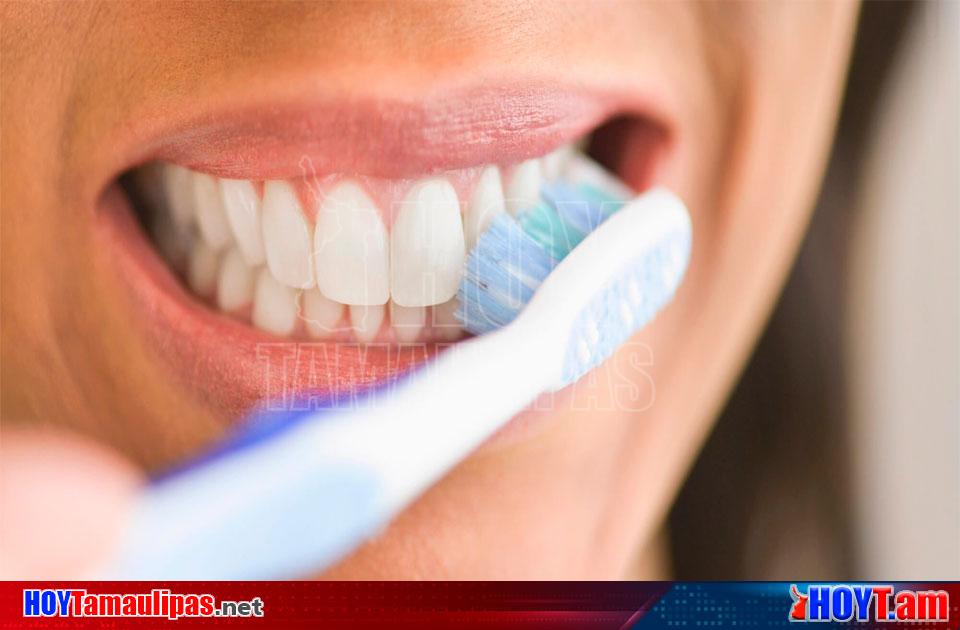 Datos relevantes sobre el cepillado y la salud dental