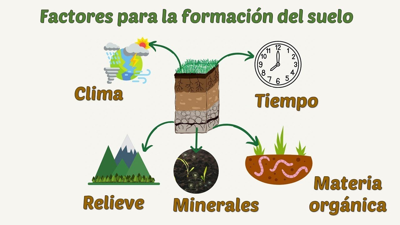 Otros factores que influyen en la erosión dental